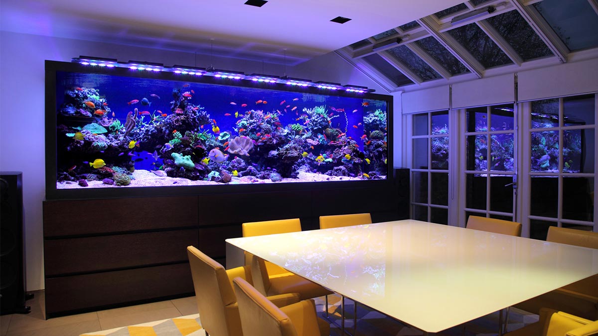 Điểm nhấn nổi bật cho không gian phòng khách. Nguồn: aquariumarchitecture