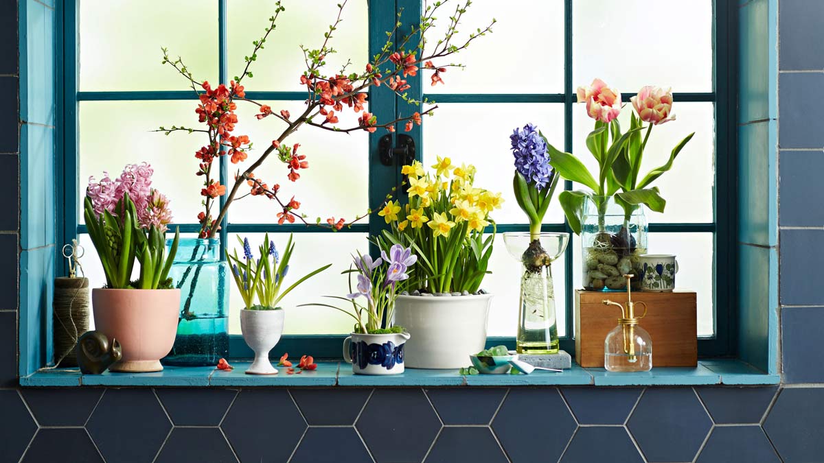 Ý tưởng trang trí nội thất đơn giản với lọ hoa. Nguồn: bhg