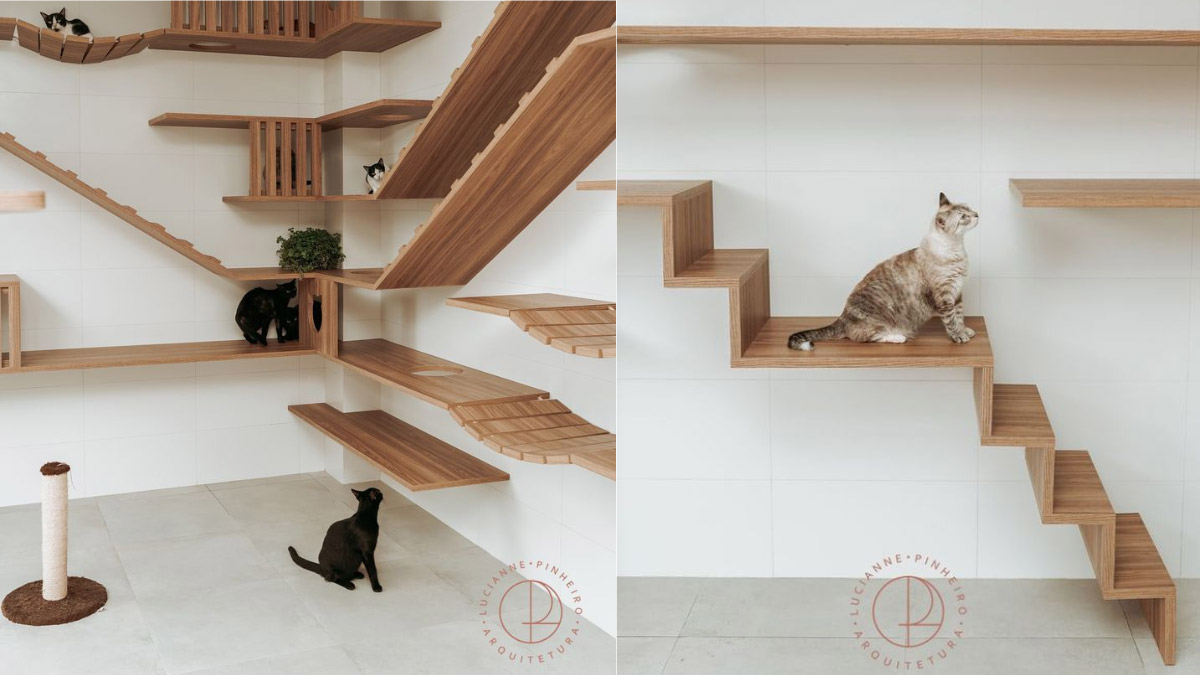 Một thiết kế nhà cho mèo hoành tráng. Nguồn: Lucianne Pinheiro